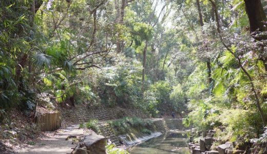 東京パワースポット『等々力渓谷』をぶらり散歩!