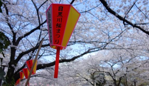 目黒川でお花見に行ってきたよ！