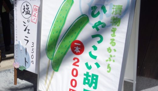 暑い夏の京都観光にはこの1本！「京つけもの もり」で食べた夏季限定の『冷っこい胡瓜（きゅうり）』が絶品！