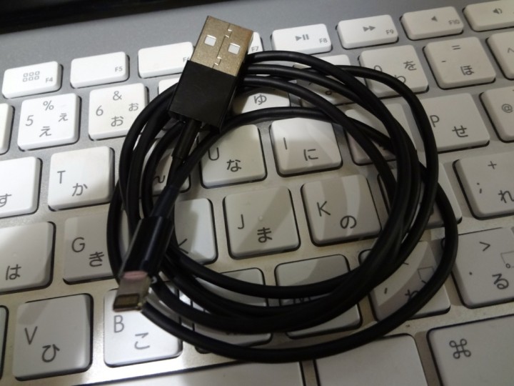 lightning-cable-black-1DSC01721