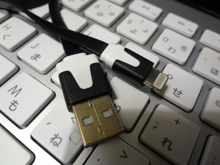 lightning-cable-flat-1DSC01671