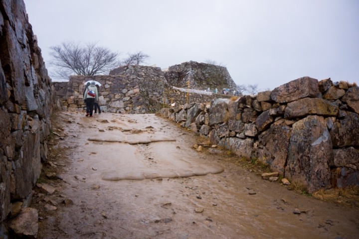 takeda-castle-NEX7-1DSC09450