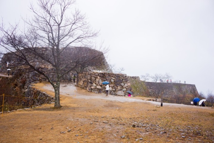 takeda-castle-NEX7-1DSC09462