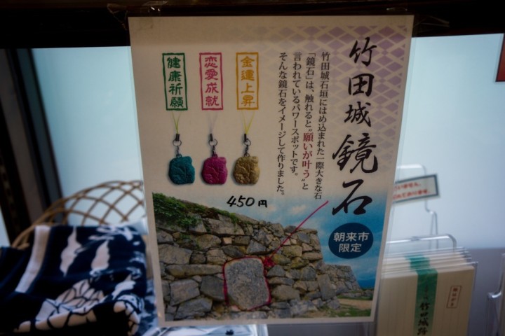 takeda-castle-NEX7-1DSC09713