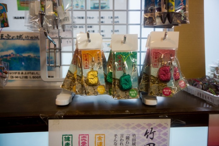 takeda-castle-NEX7-1DSC09716