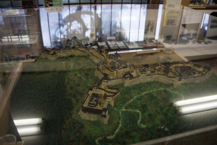 takeda-castle-NEX7-1DSC09728