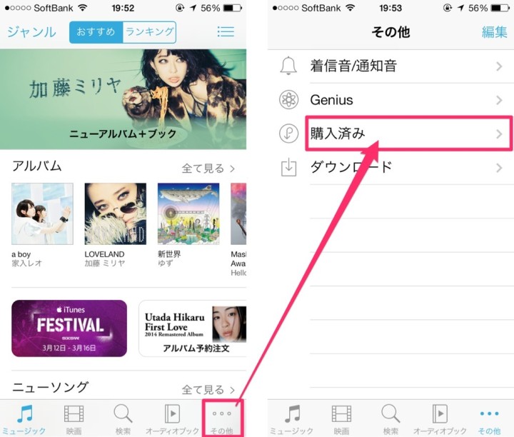 itunes-store-purchase-music-IMG_1518