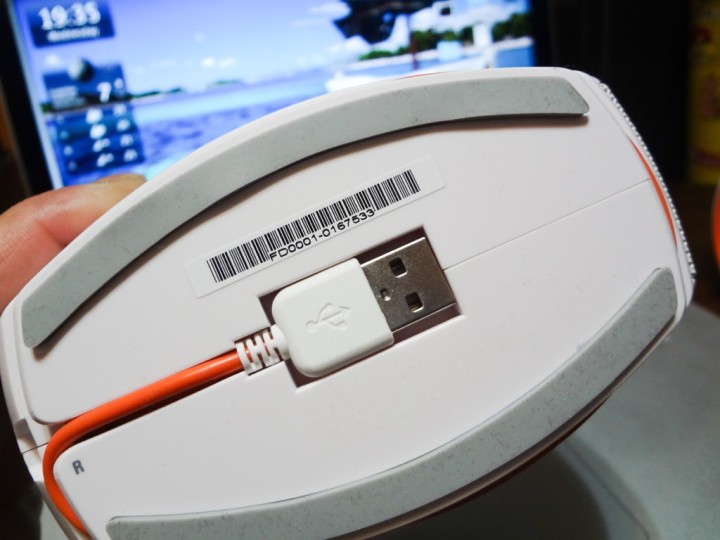 jbl-pebbles-1DSC03544