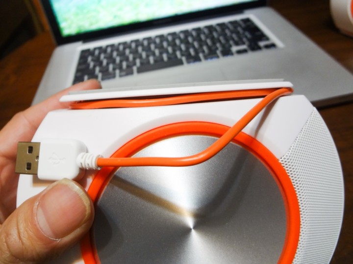 jbl-pebbles-1DSC03558