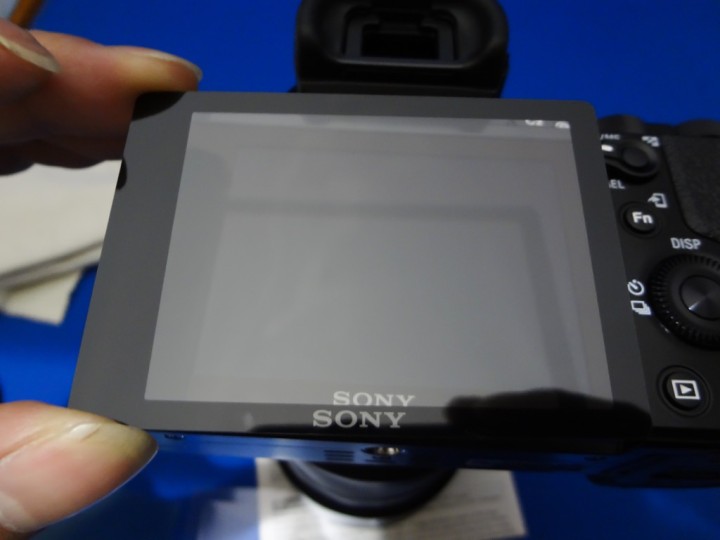 camera-purchase-accessories-inspection-1DSC02953