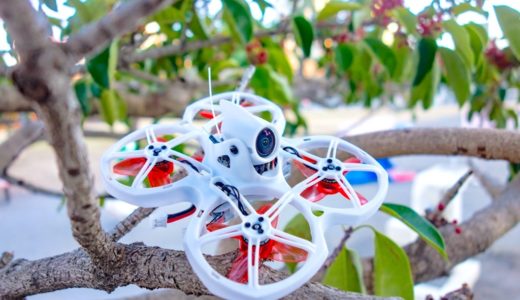 【Emax Tinyhawk Ⅱ】カメラ＆VTXがアップグレード！カメラ角度の調整も可能とこれまでのTinyhawkの弱点が改善されています！