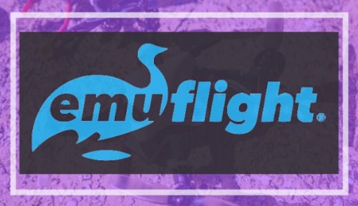 Emuflightを試してみる！導入手順【備忘録】